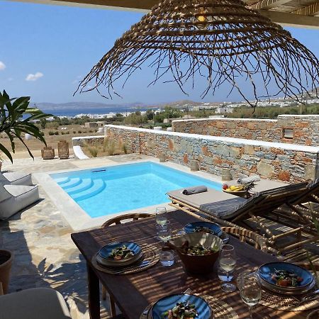 Villa Ypsilon Naxos - Luxury Holiday House With Amazing Sea View & Private Pool Agia Anna (Naxos) Exterior foto