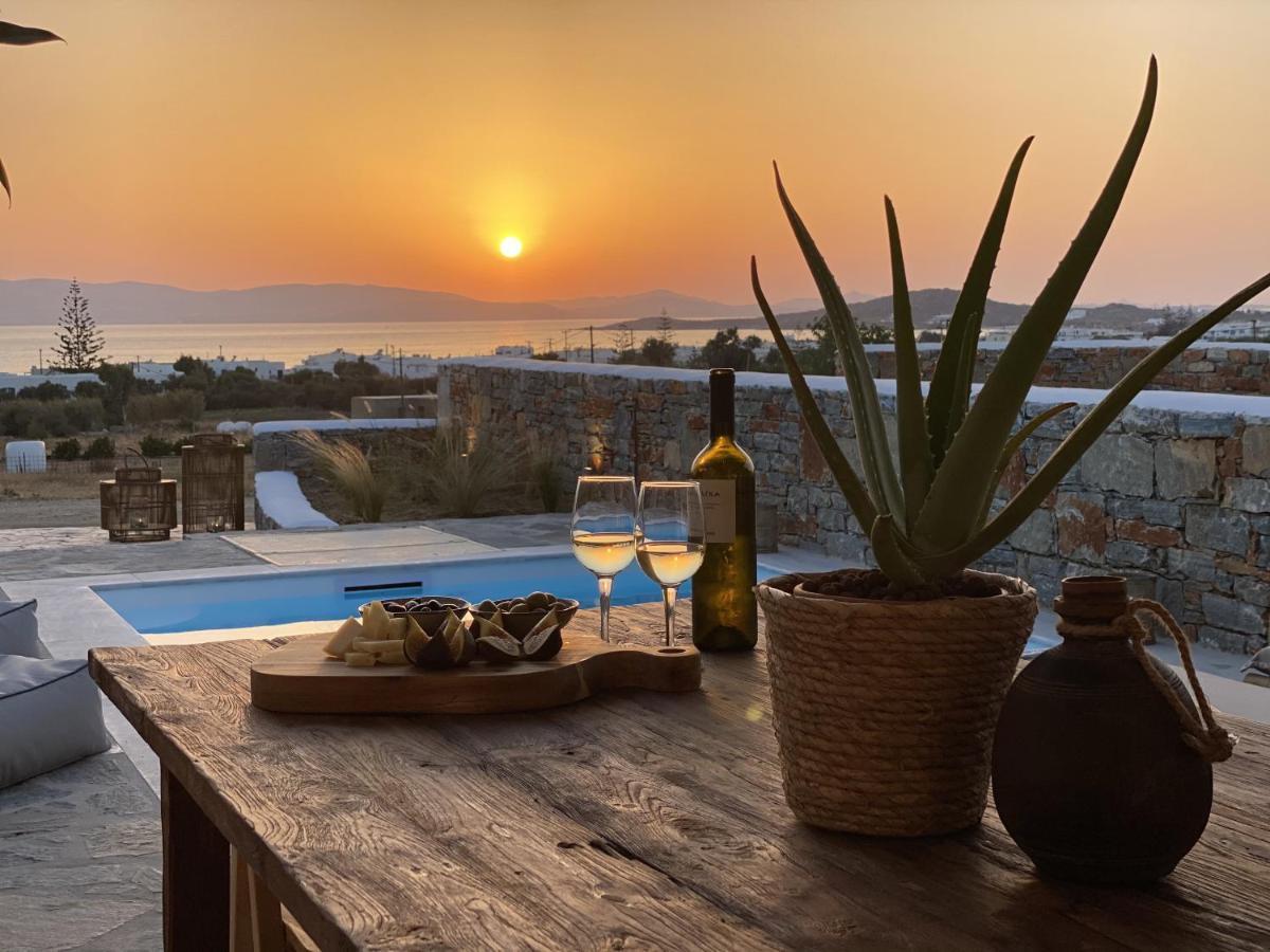 Villa Ypsilon Naxos - Luxury Holiday House With Amazing Sea View & Private Pool Agia Anna (Naxos) Exterior foto