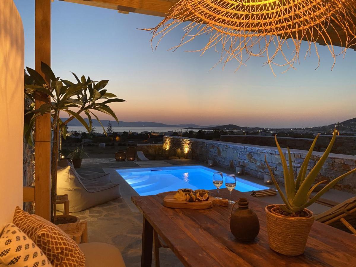 Villa Ypsilon Naxos - Luxury Holiday House With Amazing Sea View & Private Pool Agia Anna (Naxos) Exterior foto