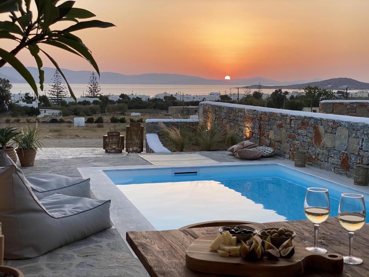 Villa Ypsilon Naxos - Luxury Holiday House With Amazing Sea View & Private Pool Agia Anna (Naxos) Exterior foto