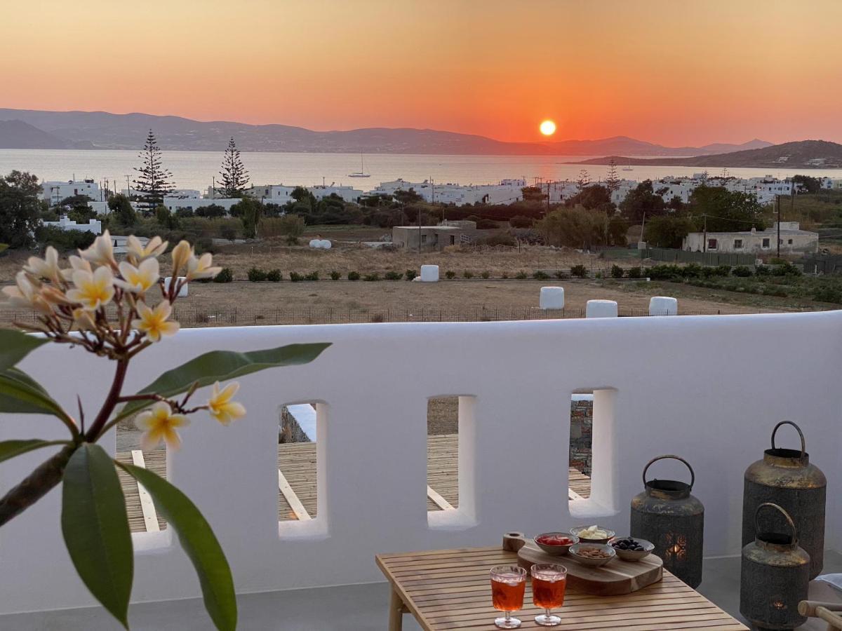 Villa Ypsilon Naxos - Luxury Holiday House With Amazing Sea View & Private Pool Agia Anna (Naxos) Exterior foto